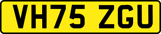 VH75ZGU