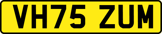 VH75ZUM