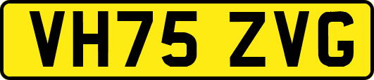 VH75ZVG