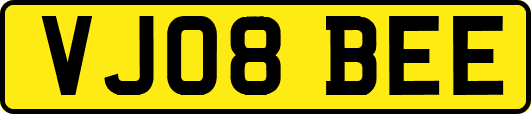 VJ08BEE