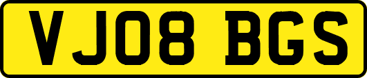 VJ08BGS