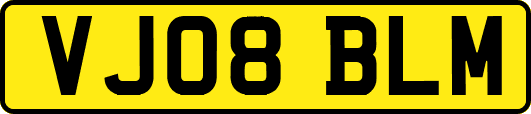VJ08BLM