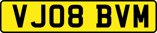 VJ08BVM