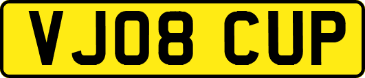 VJ08CUP