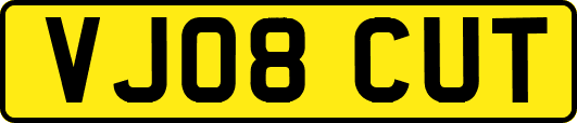 VJ08CUT
