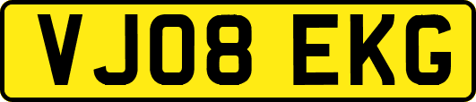 VJ08EKG