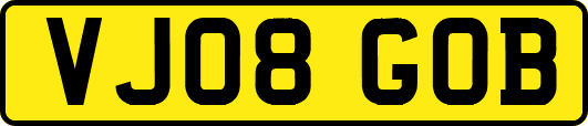 VJ08GOB