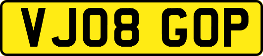 VJ08GOP