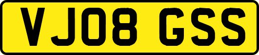 VJ08GSS