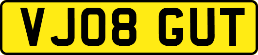 VJ08GUT