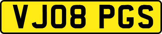VJ08PGS