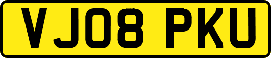 VJ08PKU