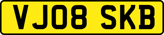 VJ08SKB