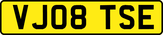 VJ08TSE