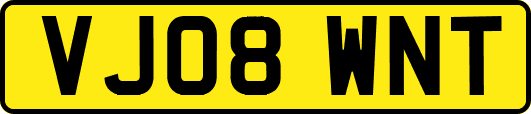 VJ08WNT