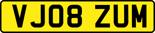 VJ08ZUM