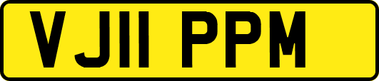 VJ11PPM