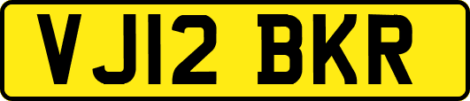 VJ12BKR