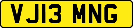 VJ13MNG