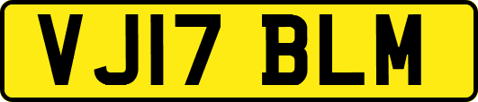 VJ17BLM