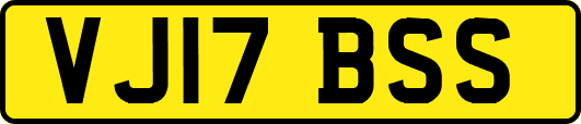 VJ17BSS