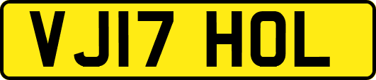 VJ17HOL