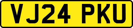 VJ24PKU
