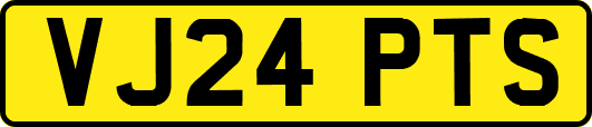 VJ24PTS