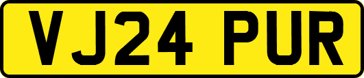 VJ24PUR