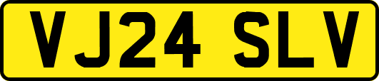 VJ24SLV