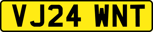 VJ24WNT