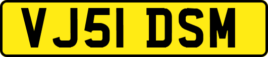 VJ51DSM
