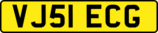 VJ51ECG