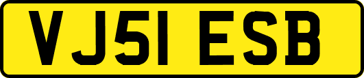 VJ51ESB