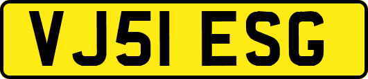 VJ51ESG