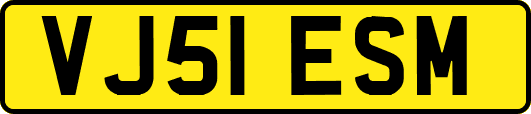 VJ51ESM