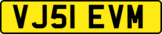 VJ51EVM