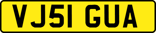 VJ51GUA