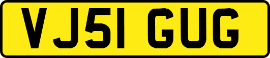 VJ51GUG