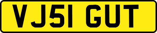VJ51GUT