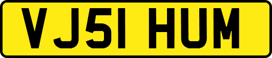 VJ51HUM