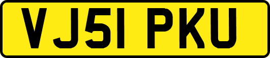 VJ51PKU
