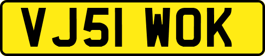 VJ51WOK