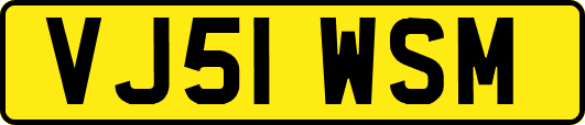VJ51WSM