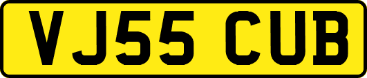 VJ55CUB