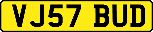 VJ57BUD