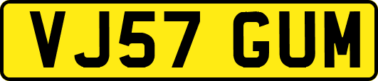 VJ57GUM