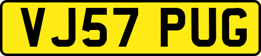 VJ57PUG