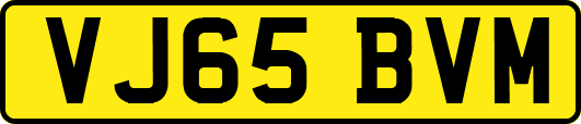 VJ65BVM