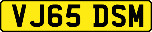 VJ65DSM